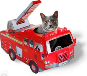 ���������! ��� ������� �����.